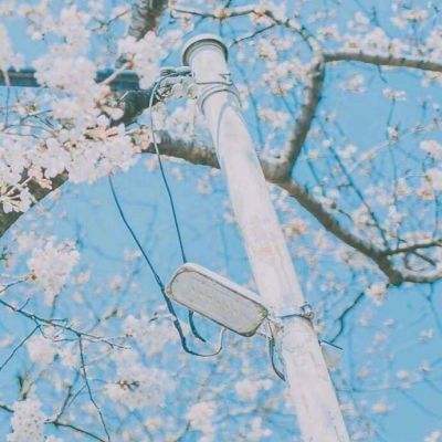 寻龙探墓游戏下载