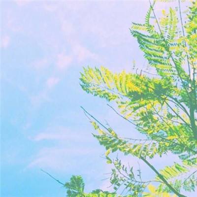 青春篮球手游下载